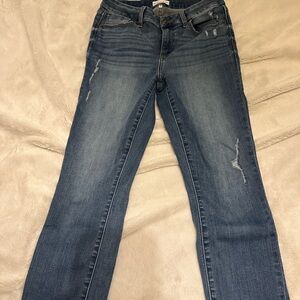 Studio Blue (Stitch Fix) Straight Leg Women's Jeans
